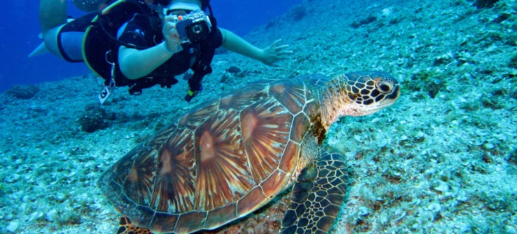 Things to do in Lombok