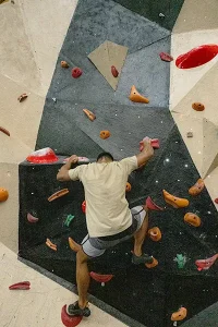Xeno Fit Gym Climbing Wall